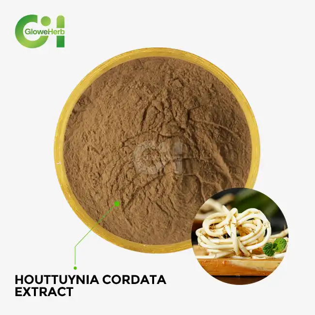 Houttuynia Cordata Extract